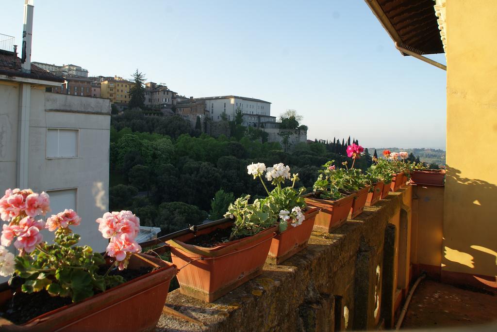 Alla Residenza Domus Minervae Perugia Ngoại thất bức ảnh